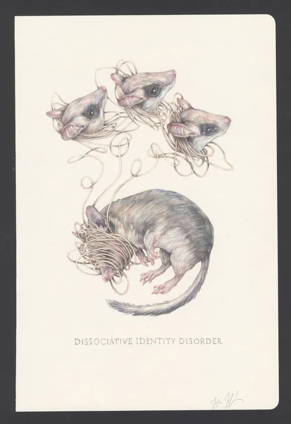 Illustration couleur, Marco Mazzoni