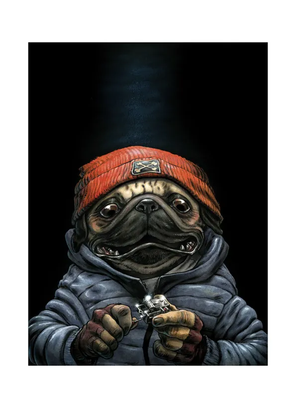 Illustration couleur,  Guznag