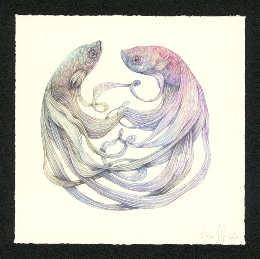 Illustration couleur, Journaux troublés, Marco Mazzoni