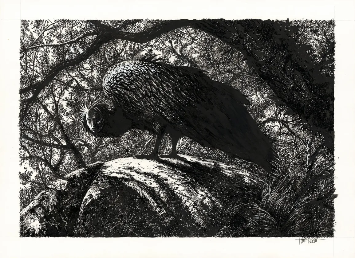 Illustration noir et blanc, Tom Cuzor