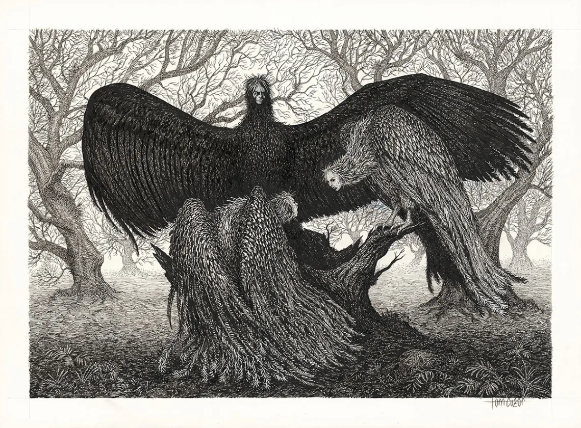 Illustration noir et blanc, Tom Cuzor