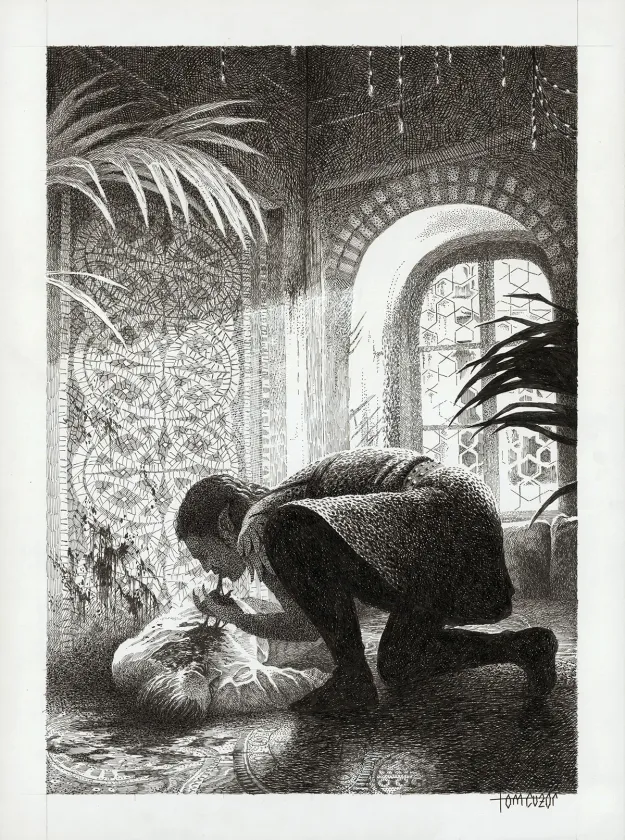 Illustration noir et blanc, Mir, Tom Cuzor