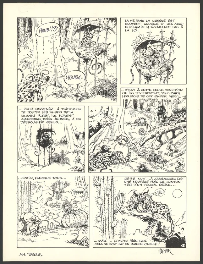 Planche noir et blanc, Le Marsupilami, Le Pollen du Monte Urticando (T.4),  Batem