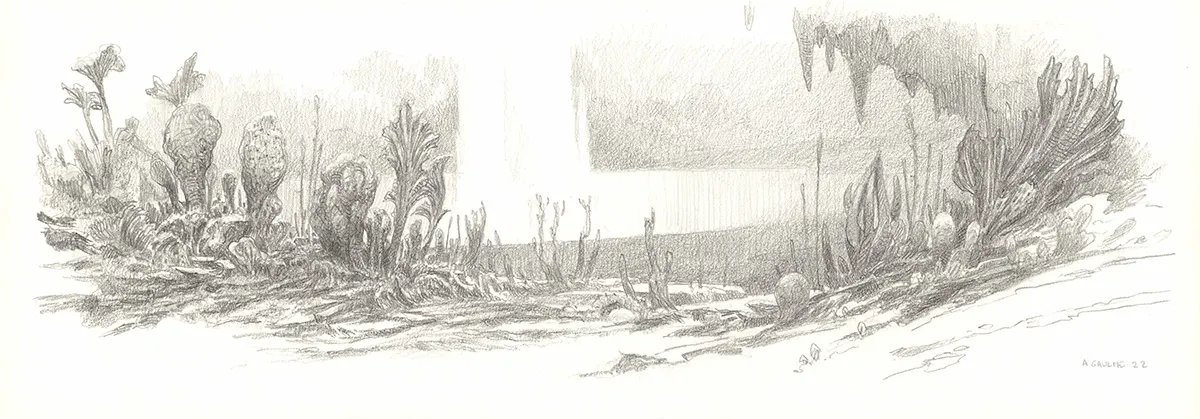 Black and white illustration, Les Carnets Lovecraft, Le Festival , Armel Gaulme