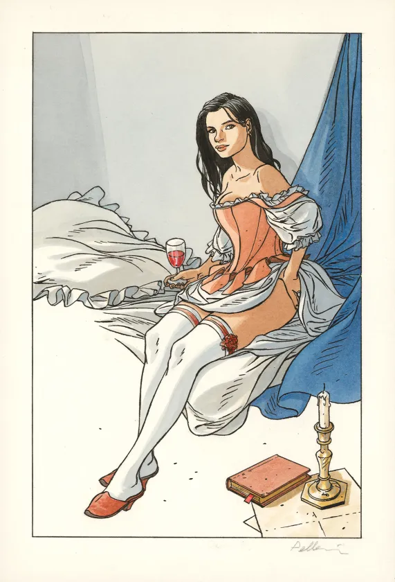 Colored illustration, L'Épervier, Patrice Pellerin