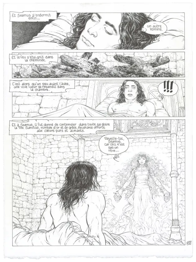 Planche noir et blanc, Complainte des Landes Perdues, La Fée Sanctus (T.7), Philippe Delaby