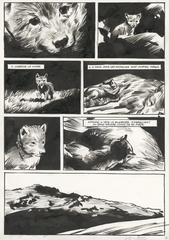 Planche noir et blanc, Le Loup, Jean-Marc Rochette