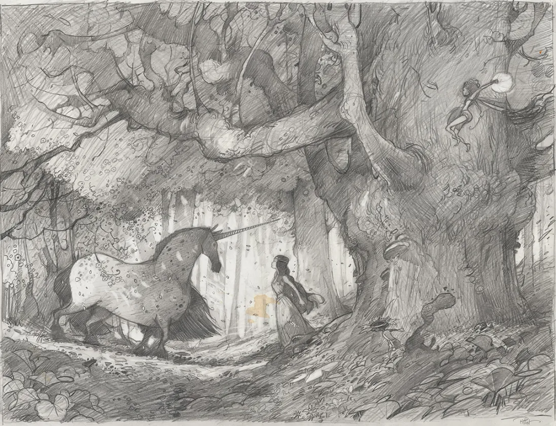 Sketch, Frédéric Pillot