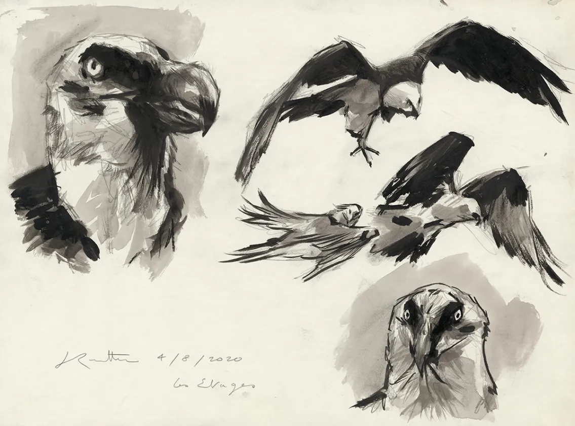 Black and white illustration, Bestiaire des Alpes, Jean-Marc Rochette